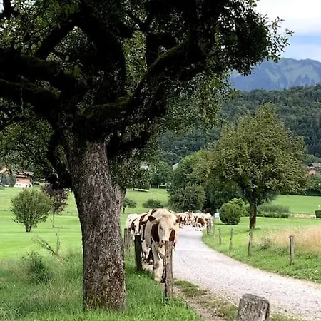 Petit Cocon Entre Lac, Golf Et Montagne, Proche D'annecy *